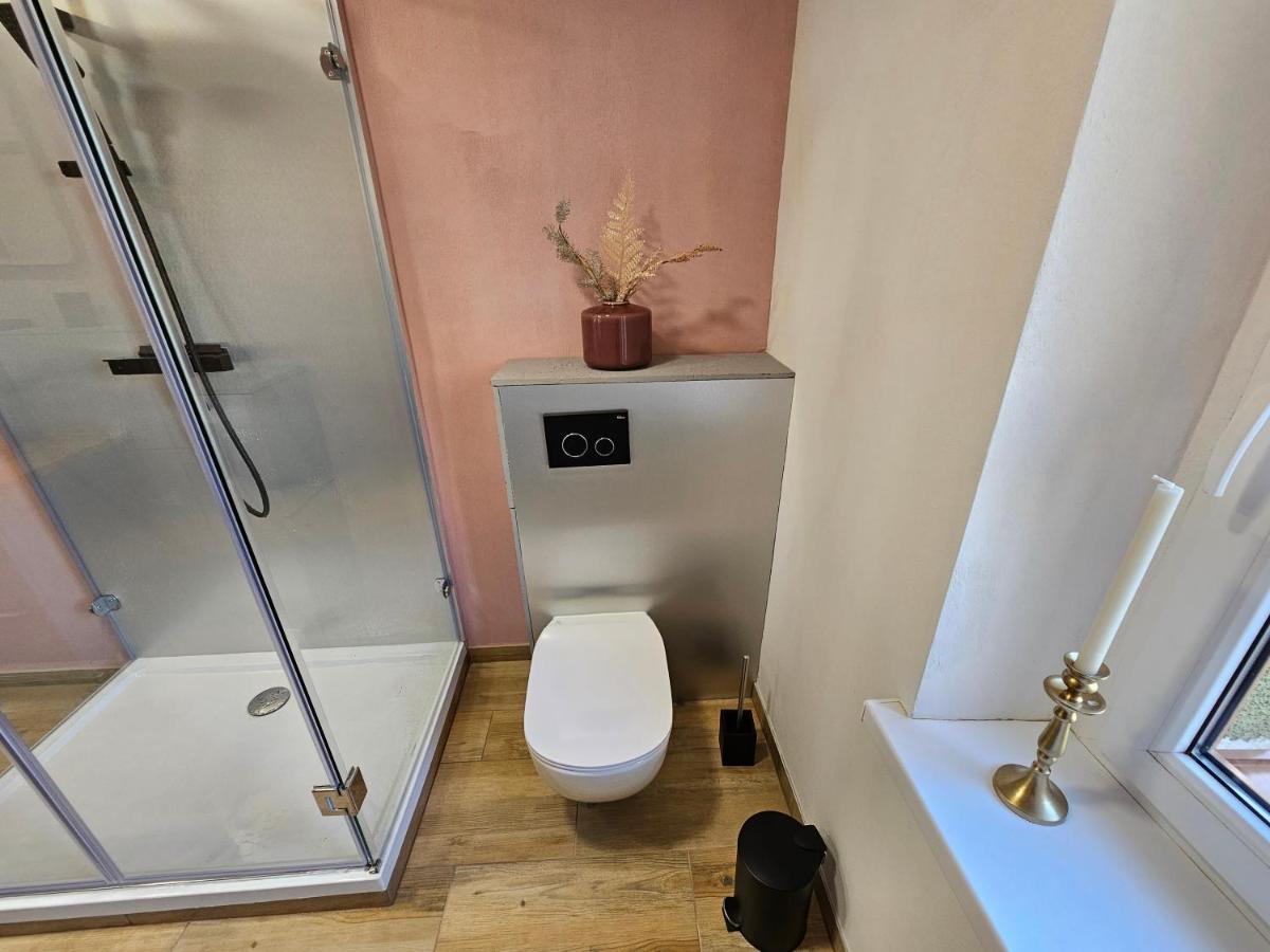 Apartament Alte Schule Żarska Zewnętrze zdjęcie