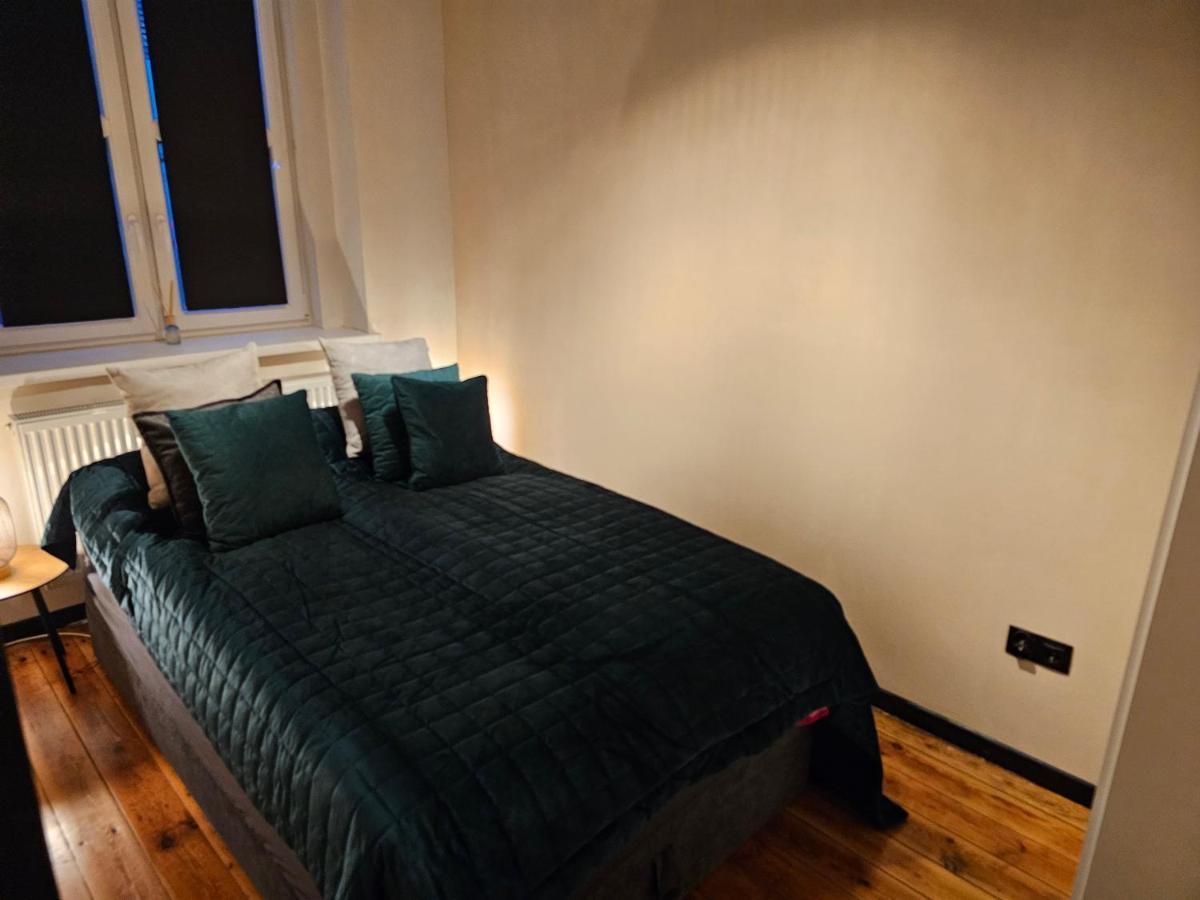 Apartament Alte Schule Żarska Zewnętrze zdjęcie